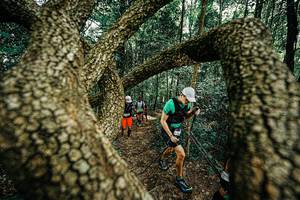 BIB: 
                            <button type="button" onclick="openModal(25393158)" class="btn btn-primary btn-sm float-right btn-popup" data-toggle="modal" data-target=".modal-high-quality">
                        <i class="fas fa-shopping-cart"></i> Add to Cart
                    </button>
                                            <button type="button" onclick="isThisMe(25393158, true)" class="btn btn-success btn-sm float-right btn-popup btn-isme hidden" data-toggle="tooltip" data-placement="bottom" title="นี่คือรูปของคุณใช่ไหม คลิกที่นี่เพื่อเอาเข้าอัลบั้ม">
                        <i class="fas fa-plus"></i> Add to album
                    </button>
                    <button type="button" onclick="isThisMe(25393158, false)" class="btn btn-warning btn-sm float-right btn-popup btn-isnotme hidden">
                        <i class="fas fa-ban"></i> Remove from album
                    </button>